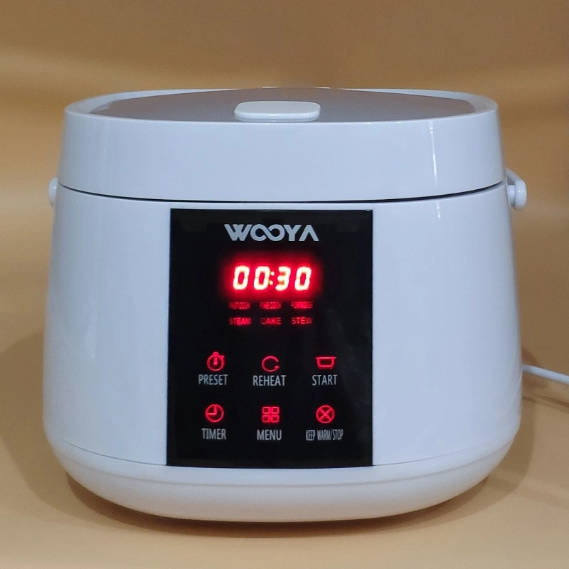 Programable Kitchen Appliance as Electric Cooker for Rice, Soup, Porridge, Oatmeal, Cake, Stew, Steam